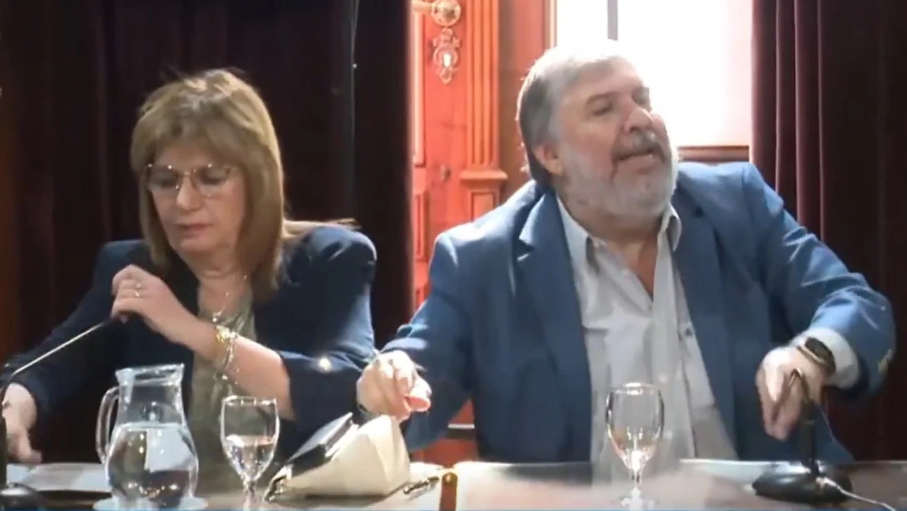 “Hacen lo que se les canta las pelotas”: fuerte cruce entre Bullrich y Mayans en el Senado | Nacionales