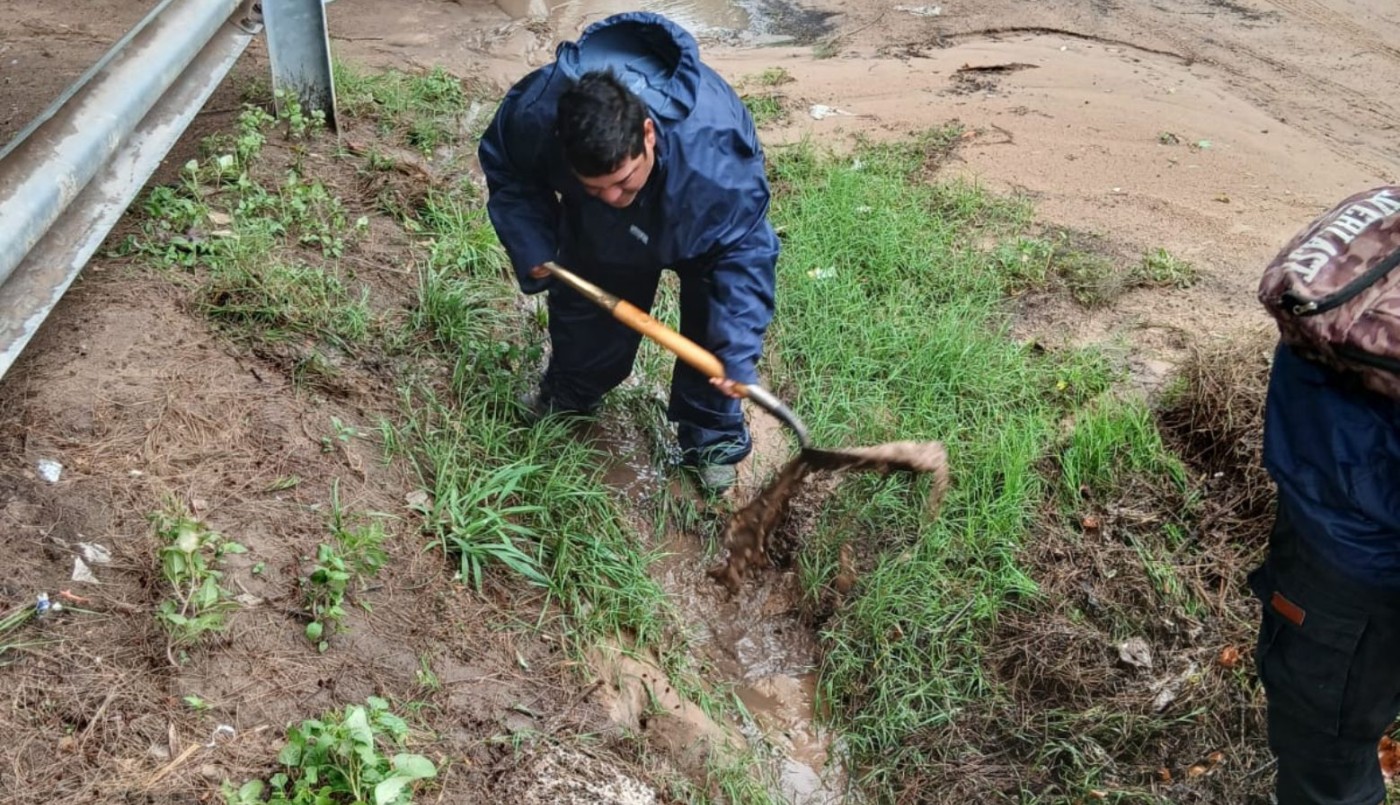 Lo que dejó la tormenta en Santa Fe: cayeron 29 árboles y más de 20 postes | Noticias