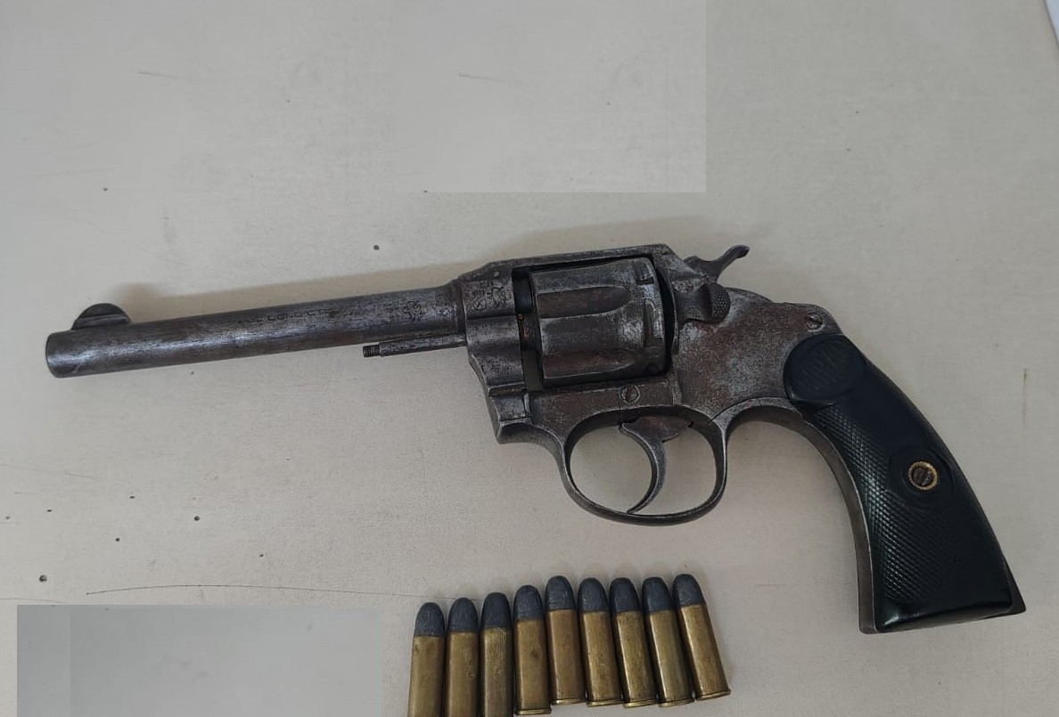 Lo detuvieron tras golpear a su pareja con un arma | Policiales