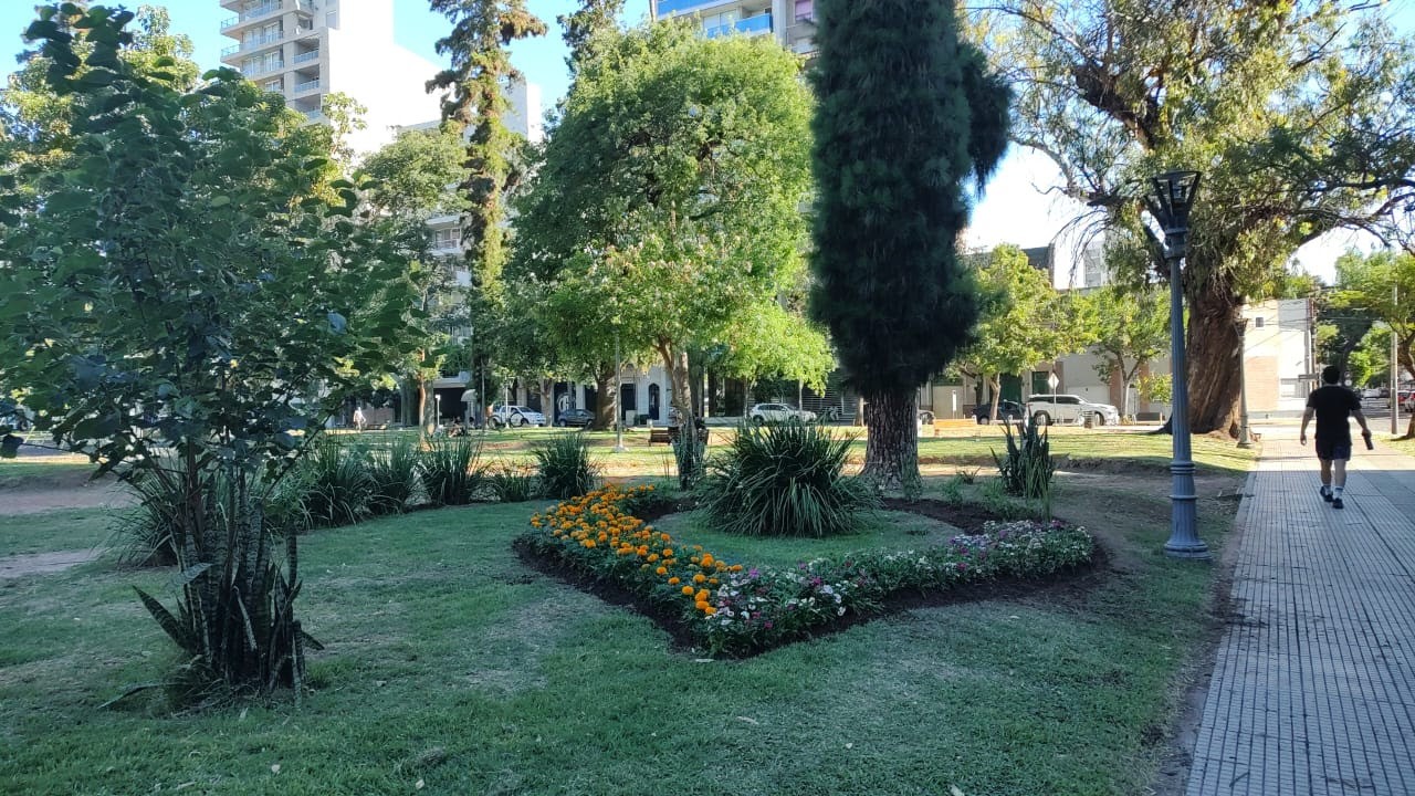 Se suman más de 100 nuevos canteros en la ciudad de Santa Fe | Noticias