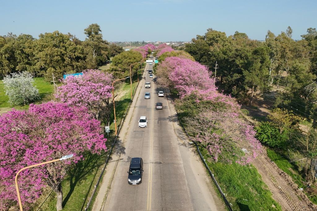 Otra jornada agradable y a puro sol en Santa Fe | Información General