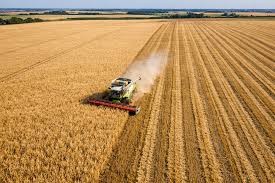 Campaña 25/26: la producción de granos generaría US$36.800 millones en exportaciones | Noticias