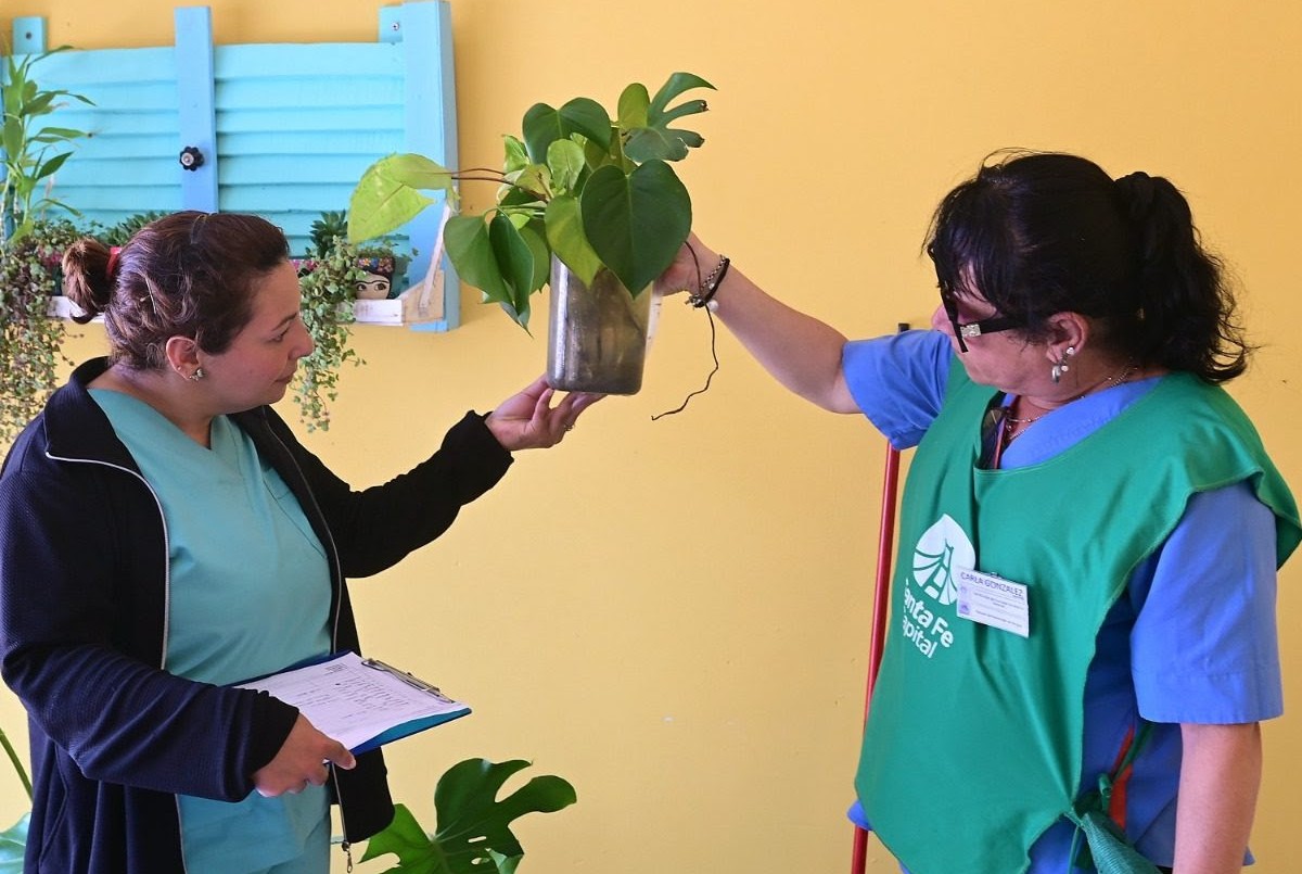 El vector del dengue incrementa su presencia en la ciudad: 37 barrios dieron positivo | Noticias