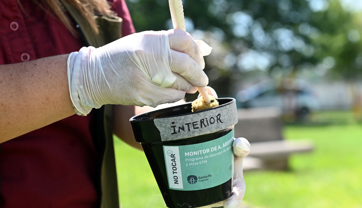 Dengue: se confirmó la presencia del vector en 35 barrios de la ciudad de Santa Fe | Salud