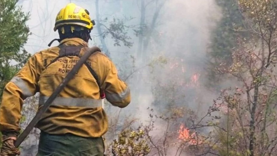 Chubut: la fiscalía abrió una investigación por incendios en Epuyén | Nacionales