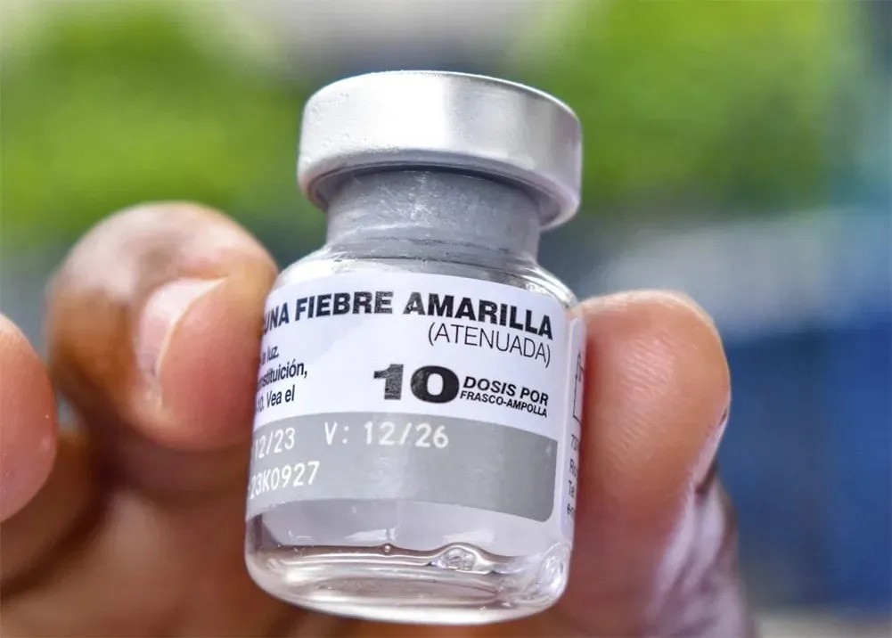 Fiebre amarilla: el sistema público ya no tiene turnos y derivan a farmacias | Salud