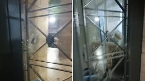 Vandalizaron la puerta de ingreso del Palacio Municipal de Santa Fe | Policiales