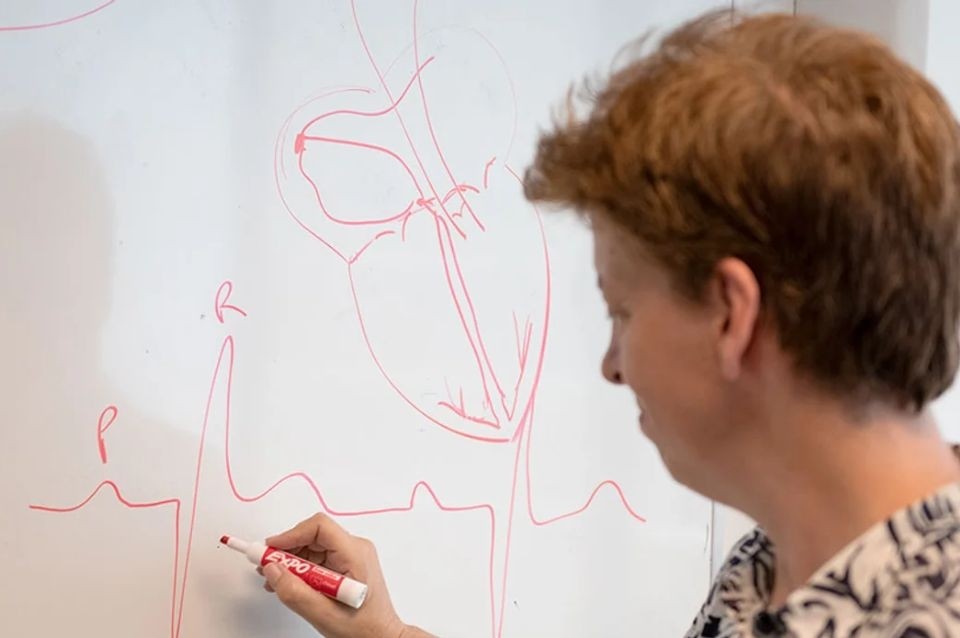 Un hallazgo del CONICET podría cambiar el diagnóstico y tratamiento de enfermedades cardíacas | Salud