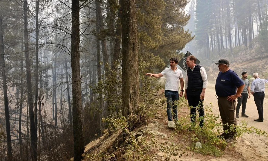 Incendios en Chubut: millonaria recompensa para dar con los responsables | Nacionales