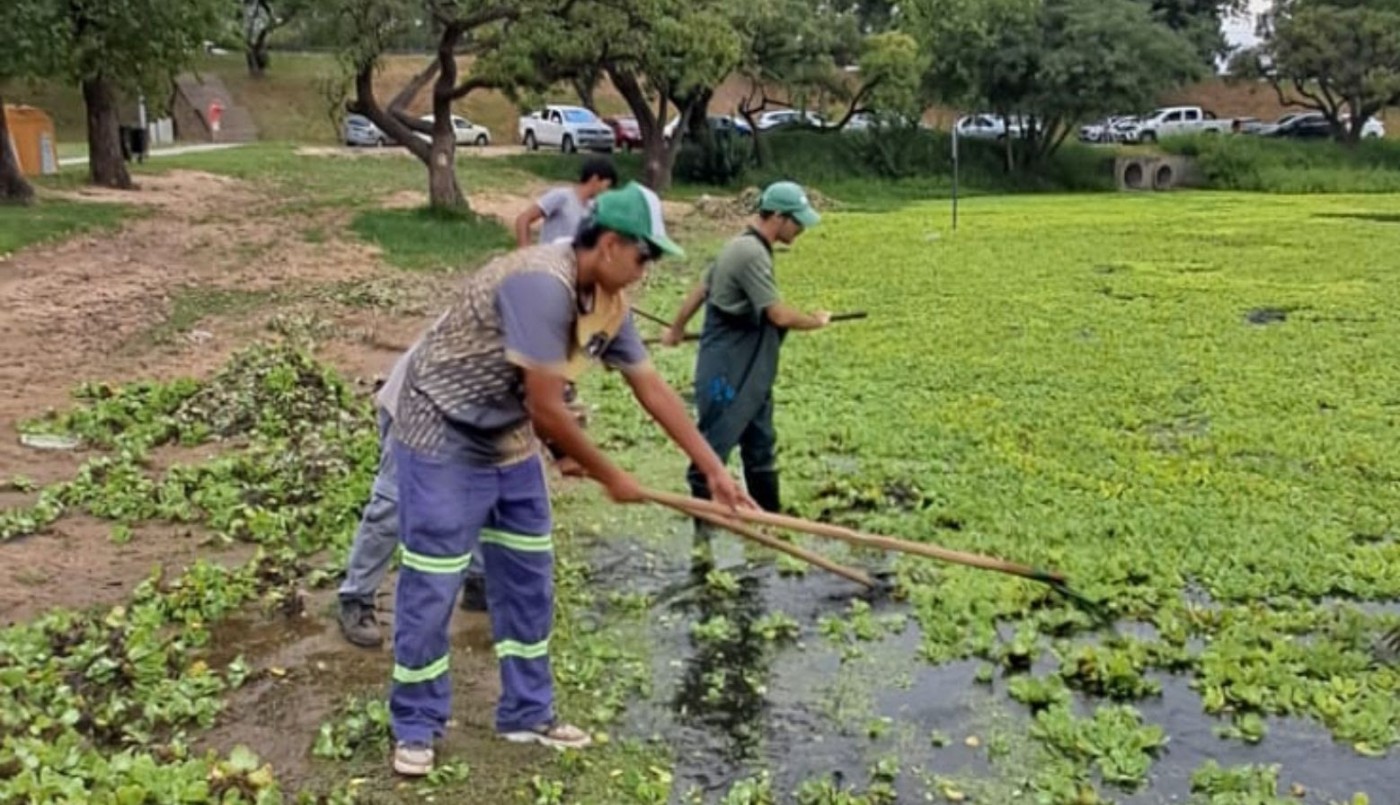 Parque del Sur: se intensifican los operativos de limpieza y el mantenimiento del lago | Noticias