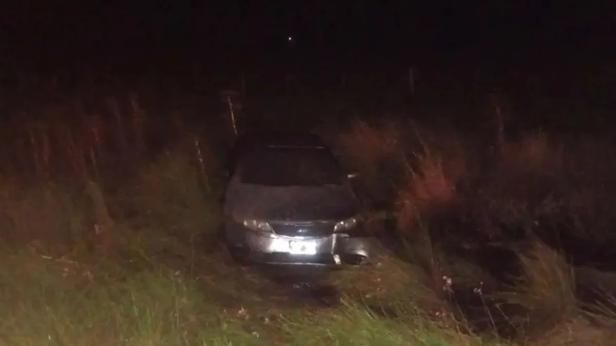 Despiste en la Ruta 11 cerca de Hardy: vehículo termina en un zanjón | Información General