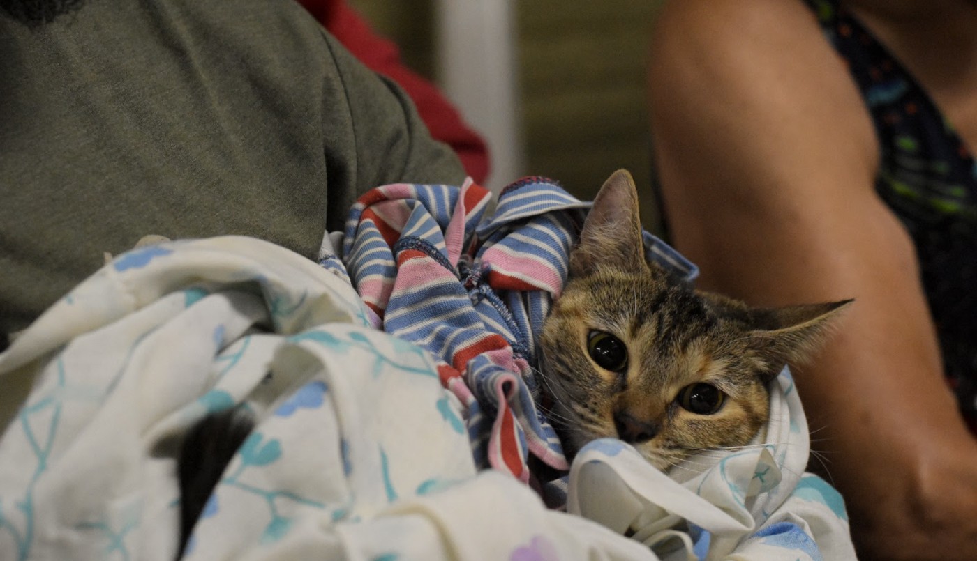 Se brindarán diferentes servicios en la vecinal El Tránsito | Noticias