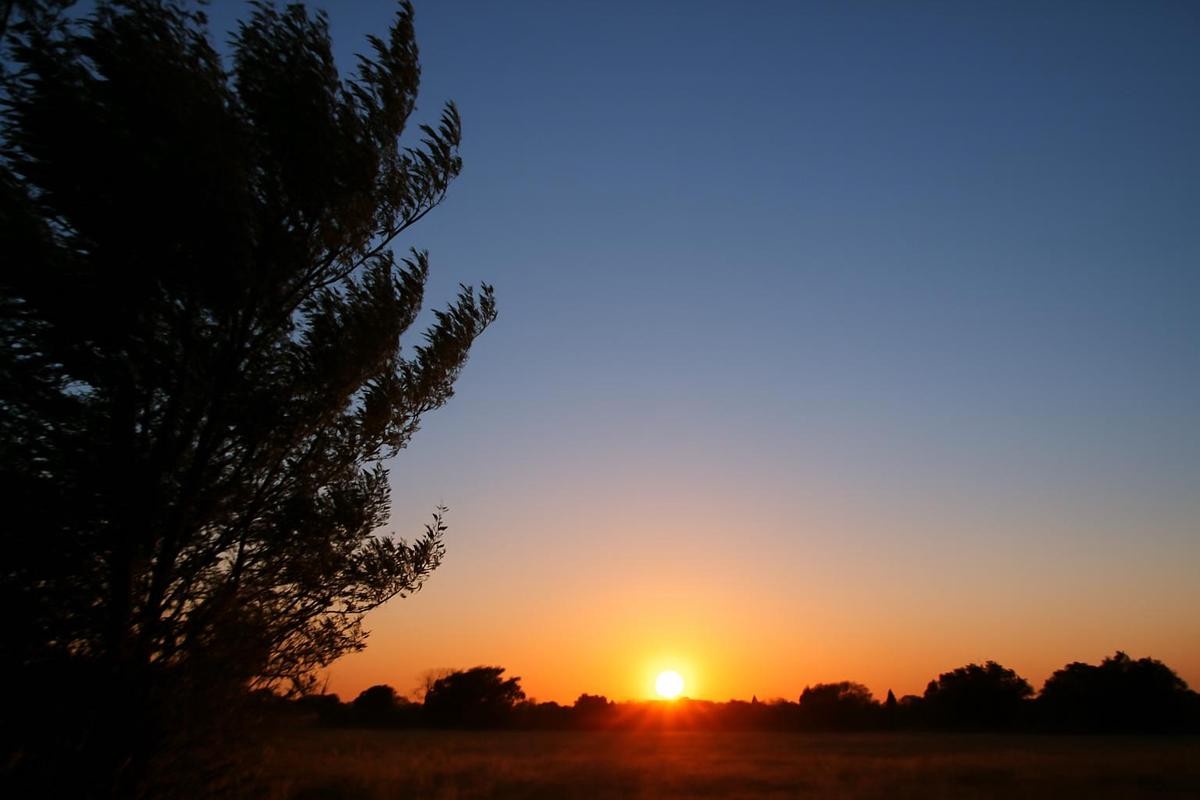Jornada calurosa: Mirá el pronóstico del tiempo para los próximos días | Noticias