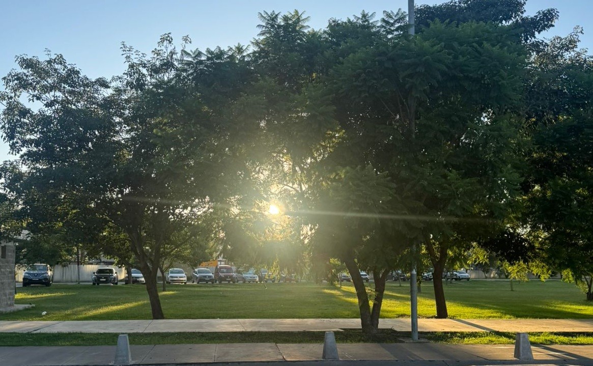 Jueves soleado: ¿A cuánto llegaría la temperatura máxima? | Información General