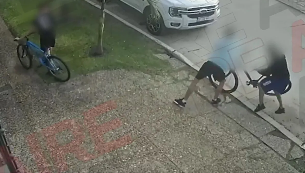 Violento robo en barrio Guadalupe: golpearon a un joven para robarle la bicicleta | Policiales