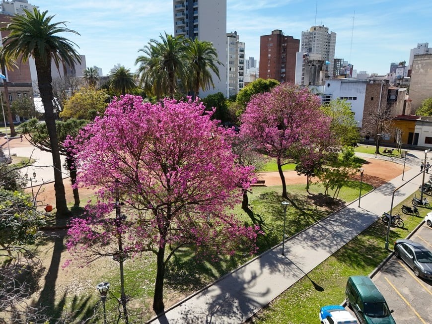 El fin de semana comineza con sol sobre la ciudad de Santa Fe | Información General