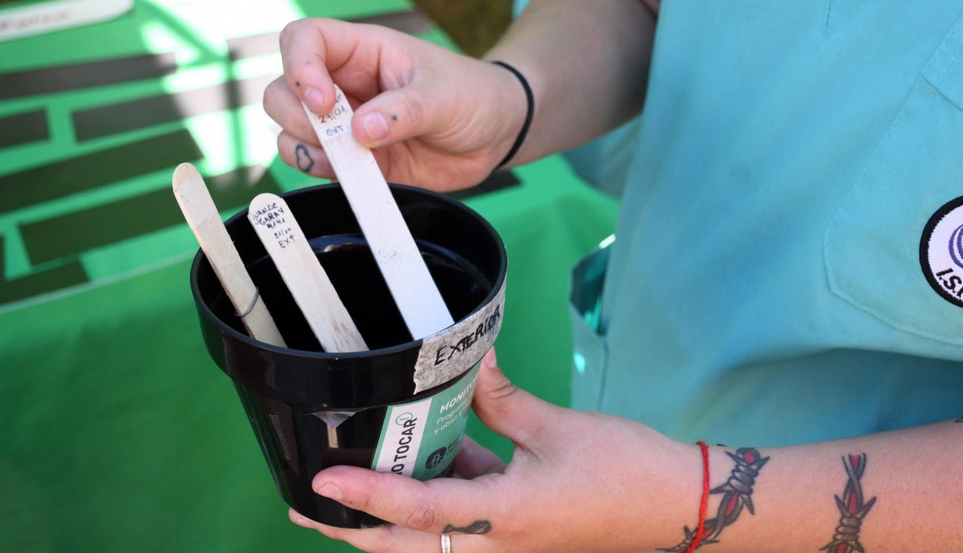 Se intensifica el descacharrado en distintos barrios para prevenir el Dengue | Noticias