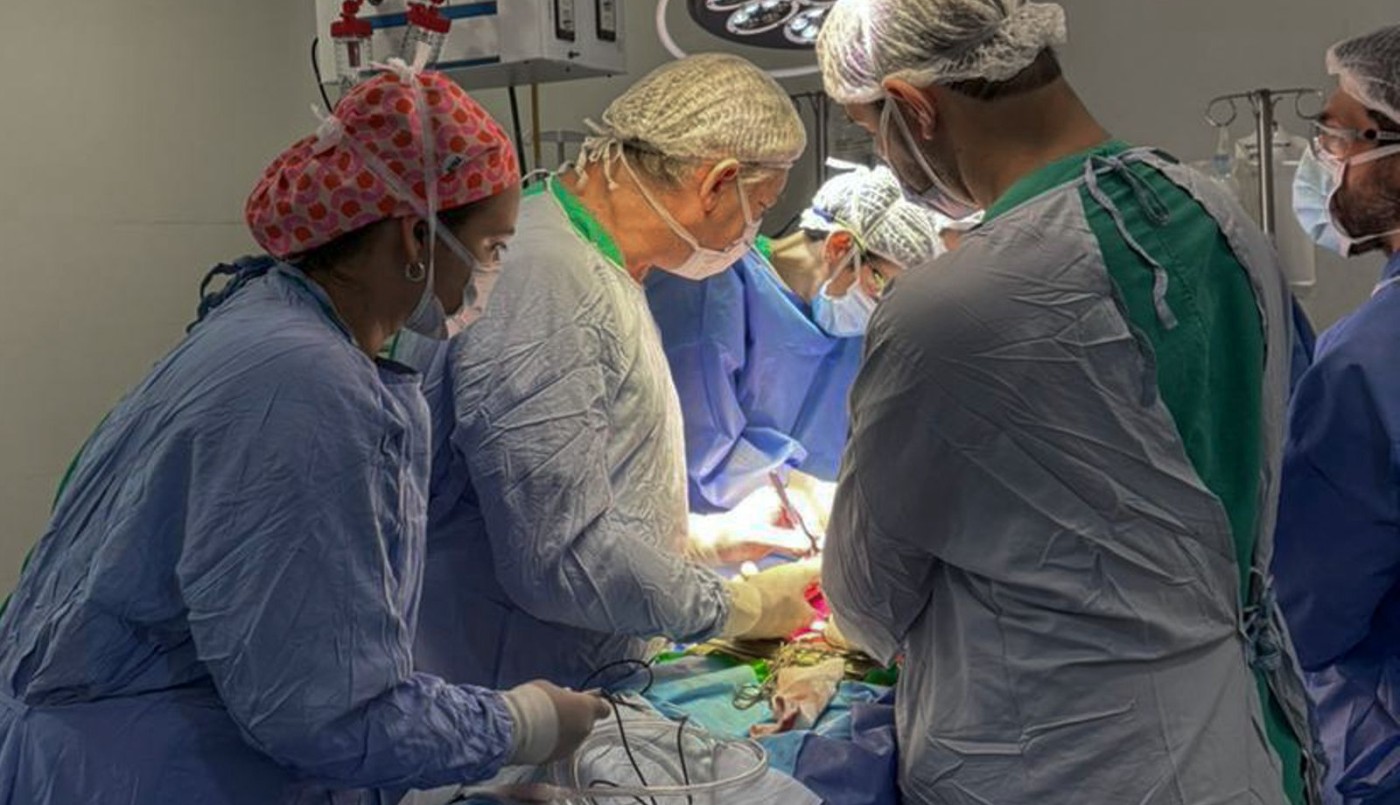 Se realizaron cuatro donaciones de órganos en 72 horas en la Provincia de Santa Fe | Salud