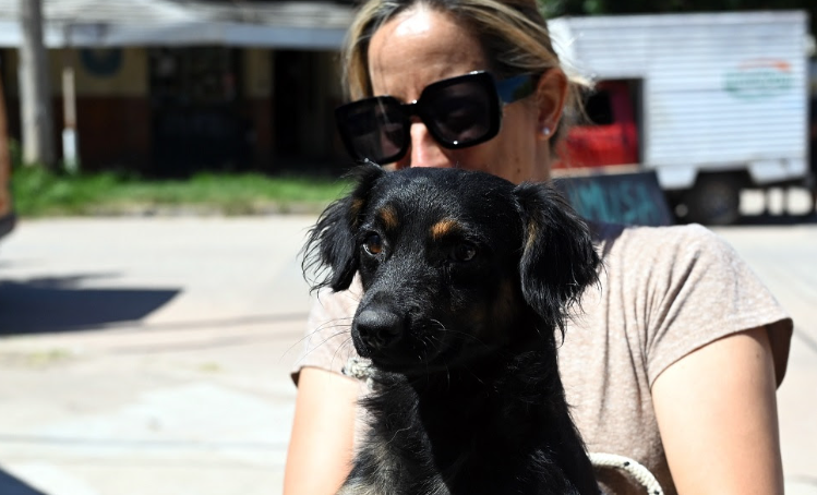 Castraciones gratuitas en barrio La Tablada: cómo acceder a la campaña este sábado | Información General