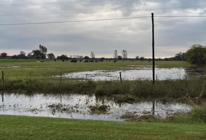 Declararon la emergencia para productores afectados por las lluvias | Información General