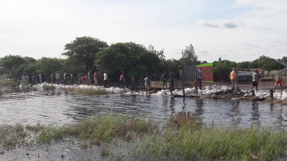 Emergencia agropecuaria: recomiendan declarar la medida en 16 distritos por inundaciones | Información General
