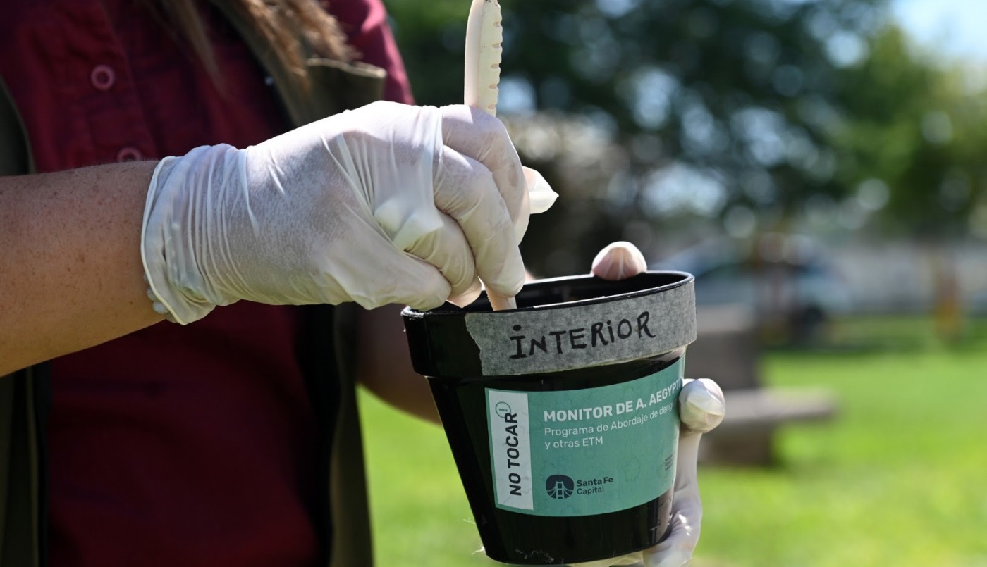 El vector del dengue se encuentra en 38 barrios de la ciudad de Santa Fe | Noticias