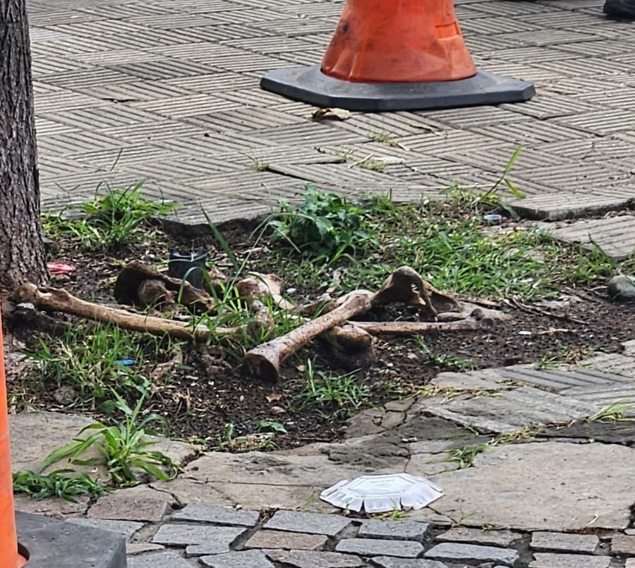 Hallaron restos óseos en el macrocentro de Santa Fe y trabaja la PDI para determinar su origen | Policiales