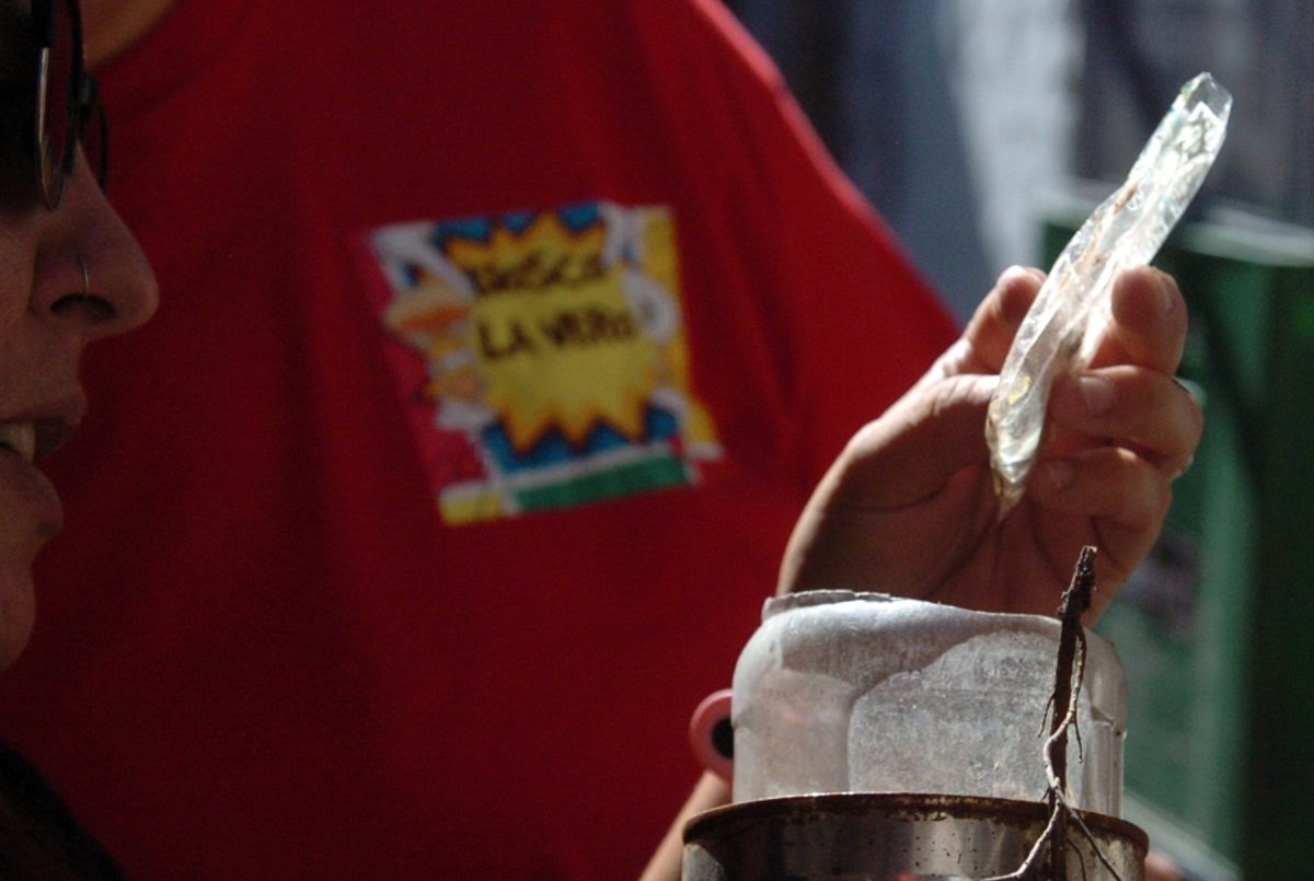 Dengue: bajan los barrios con presencia del mosquito que produce la enfermedad | Noticias