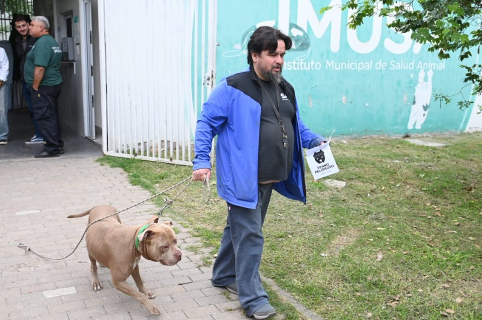 Programa Huellas: comenzó el chipeo obligatorio de perros de más de 15 kg | Información General