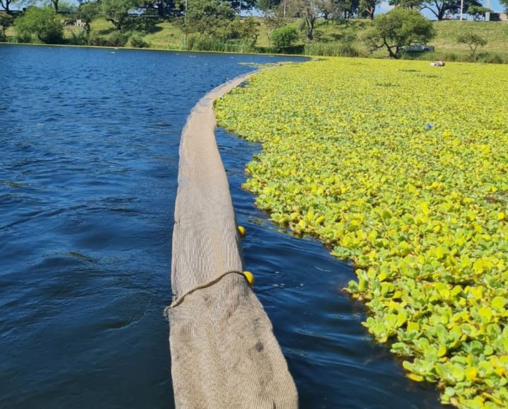 Se avanza en la limpieza del lago del Parque del Sur | Noticias