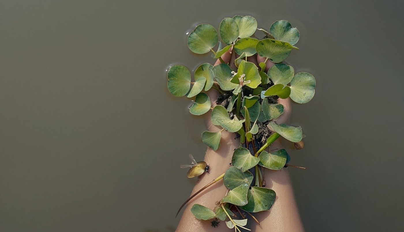 La Casa Museo César López Claro invita a la activación “Cuerpos en deriva” | Espectaculos