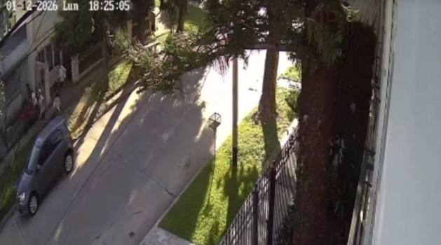 Intento de robo piraña en barrio 7 Jefes: escaparon porque fueron descubiertos | Policiales