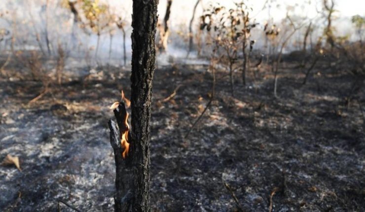 El humo de los incendios del Amazonas ya cubre gran parte de Argentina | Noticias