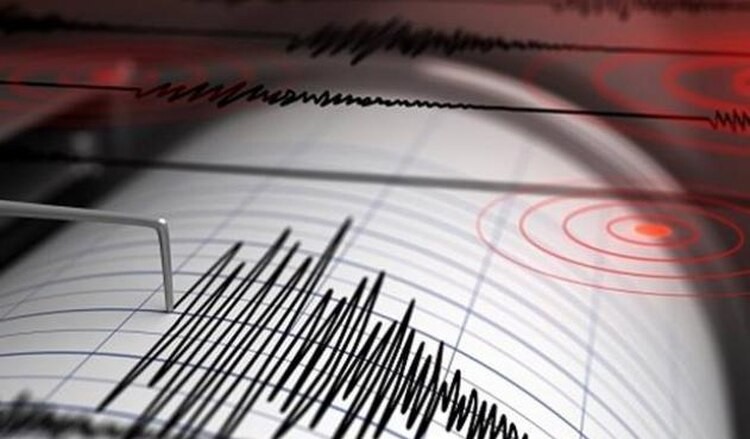 Un fuerte sismo sacudió la región central del país y se sintió en Santa Fe | Noticias