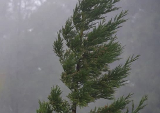 El tiempo en Navidad: Sigue el alerta por fuertes vientos | Noticias