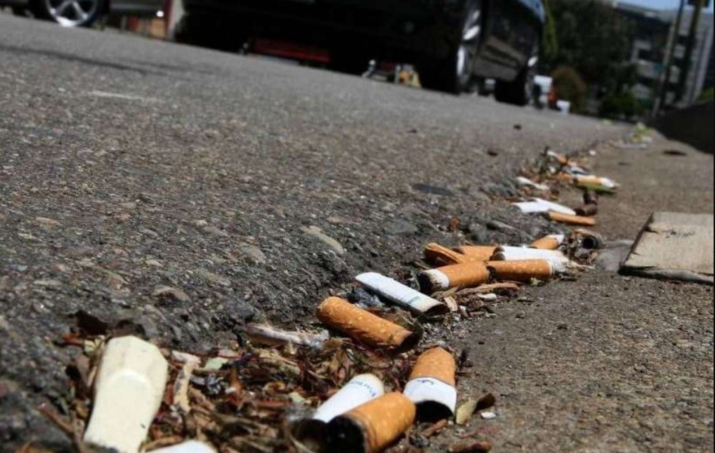 Presentaron el proyecto para multar a quienes arrojen colillas de cigarrillos en la vía pública | Noticias