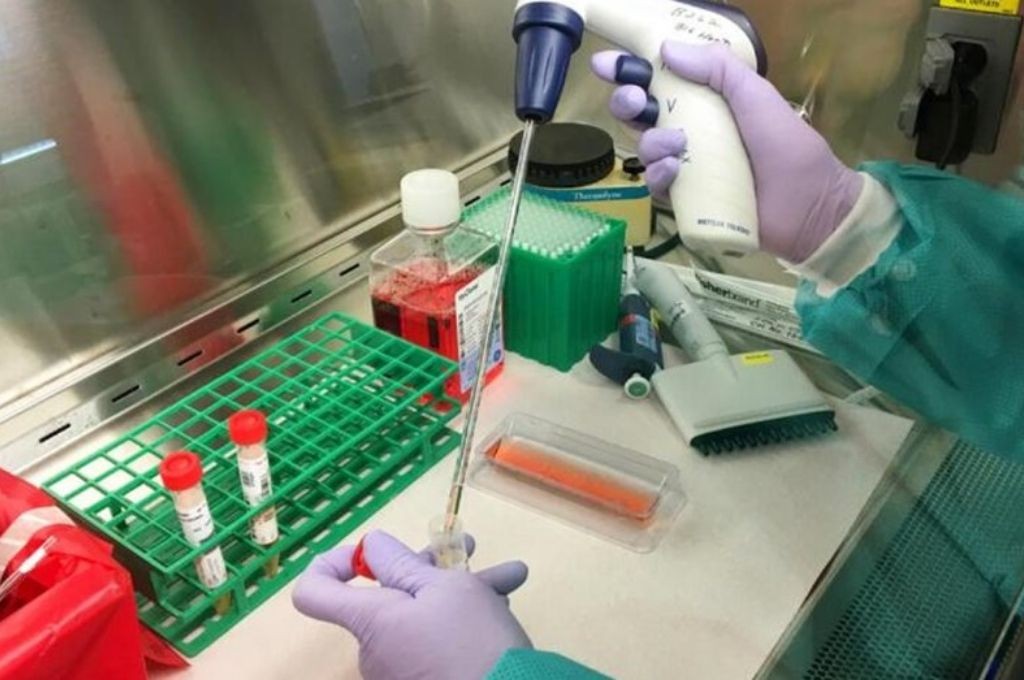 Hay 11 nuevos casos de coronavirus en el país: Uno en la provincia de Santa Fe | Noticias