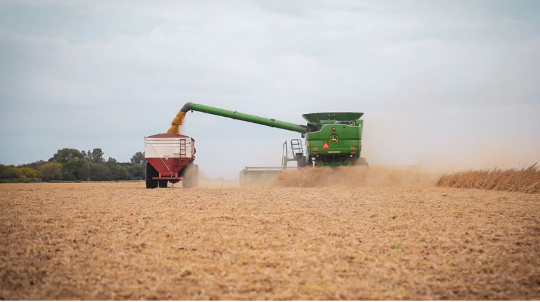 Coronavirus: La Provincia implementará corredores seguros para el transporte de cereal | Noticias