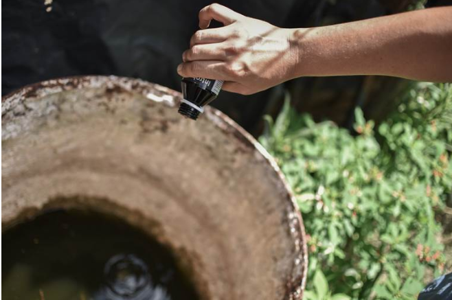 Continúan las acciones de prevención del dengue en los barrios de la ciudad | Noticias