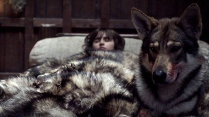 Murió Summer, el perro de Bran Stark en "Games of Thrones" | Espectaculos