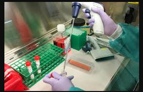 Coronavirus: Comienzan hoy en el laboratorio central de la ciudad a realizarse análisis de detección | Noticias