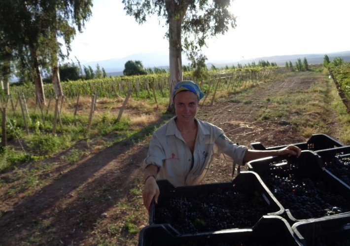 Buscan a Maria Oleynikova, una turista rusa desaparecida en Catamarca | Nacionales