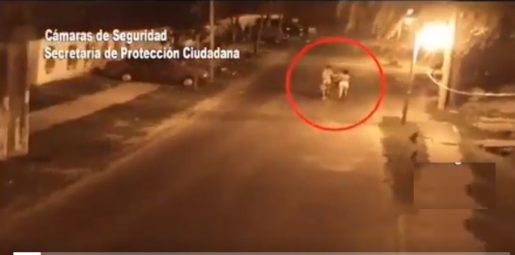 Autopsia: fue violada y estrangulada la mujer asesinada en la calle en Tigre | Nacionales