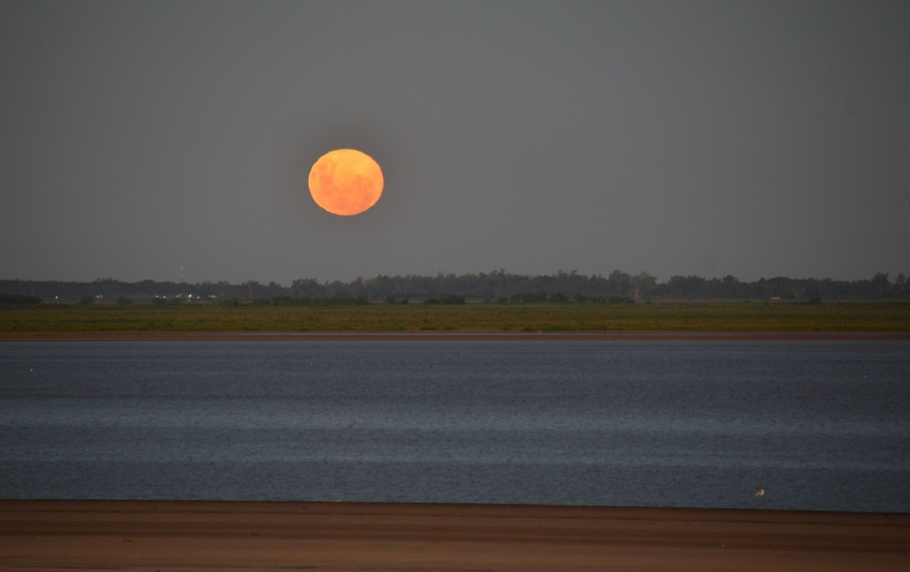 Asomate para disfrutar del espectáculo que nos regala la superluna rosa de abril | Noticias