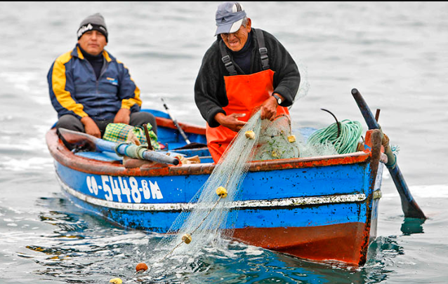 Se recomienda a los pescadores, vinculados a la pesca artesanal y comercial, que actúen con responsabilidad | Noticias