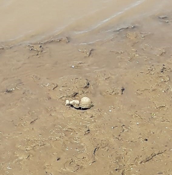 Hallazgo de una granada en Colastiné: debió ser explotada de manera controla | Noticias