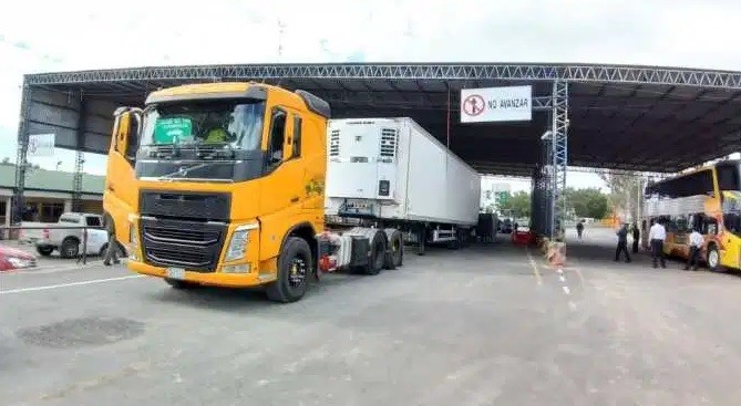 Decomisan 269 kilos de cocaína escondidos en camiones térmicos en Clorinda | Nacionales