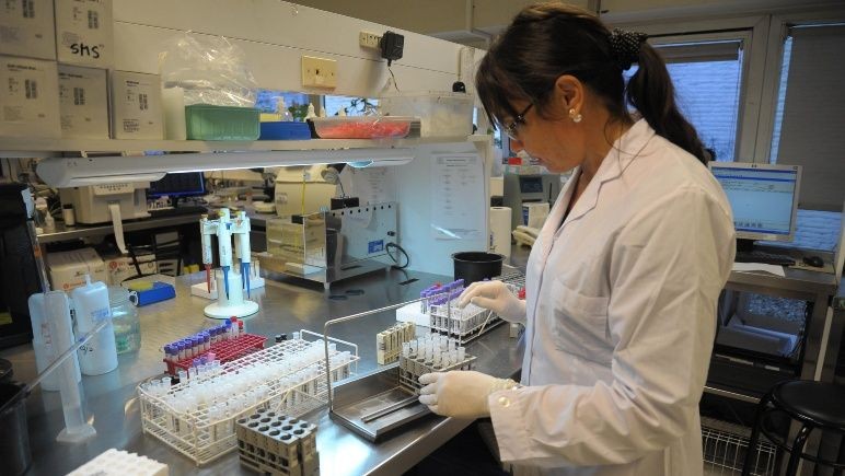 Hubo dos nuevos pacientes contagiados de coronavirus en la provincia | Noticias