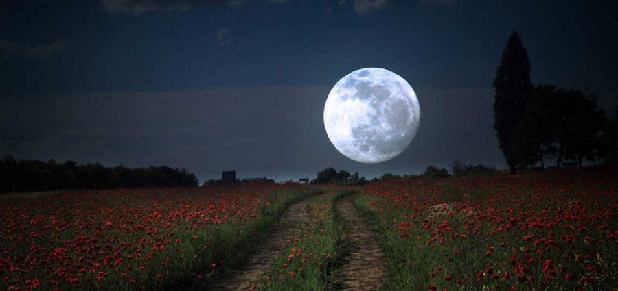 Luna llena de flor: cuándo se podrá ver la última superluna de 2020 | Noticias