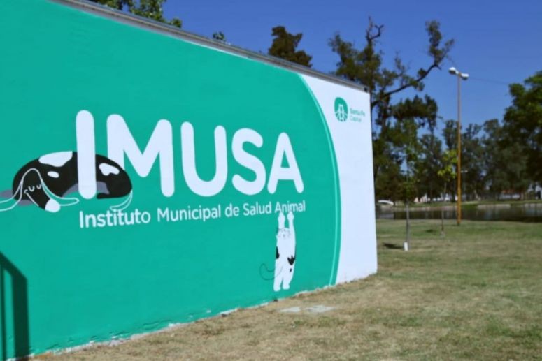 El IMUSA brinda atención especial a animales de compañía durante la cuarentena | Noticias